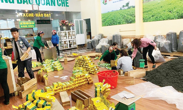 Các dòng sản phẩm chè Hảo Đạt đã khẳng định được thương hiệu, chất lượng trên thị trường