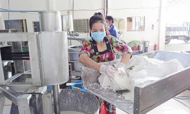 Quy trình sản xuất tại làng nghề bột Sa Đéc hầu hết đã được cơ giới hóa