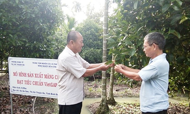 Thành viên HTX trao đổi kinh nghiệm trồng măng cụt