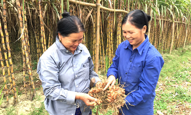 Giám đốc Chu Thị Yêm (bên phải) - thủ lĩnh giúp HTX vượt khó làm giàu