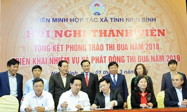 Phó Chủ tịch Liên minh HTX Việt Nam Nguyễn Mạnh Cường (đứng giữa hàng trên)