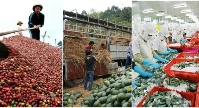 Hai tháng, xuất khẩu nông lâm thủy sản giảm (Ảnh: Internet)