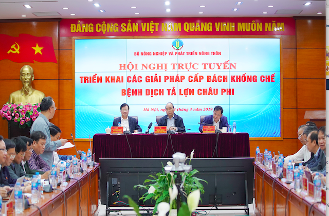 Thủ tướng trực tiếp chỉ đạo các giải pháp khống chế bệnh dịch tả lợn châu Phi