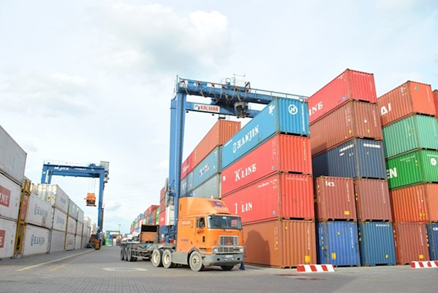 Nhiều container cá ngừ đang bị tắc cảng (Ảnh: Internet)