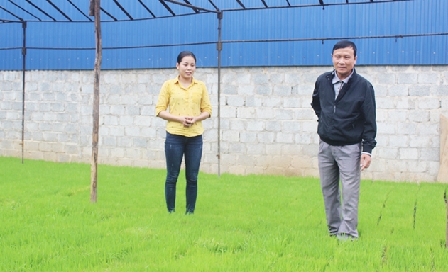 Giám đốc Nguyễn Thị Hà trao đổi kinh nghiệm gieo mạ khay với Trưởng thôn thôn Phương Đôi