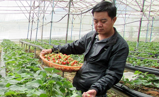 Giám đốc Trần văn Sáng - người bỏ 1 tỷ đồng khởi nghiệp bằng HTX