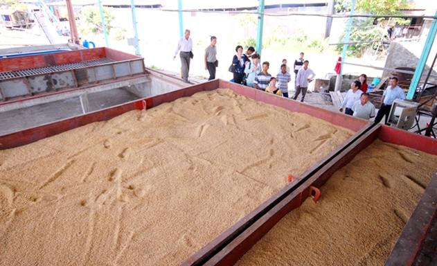 Lò sấy thóc công suất lớn của HTX