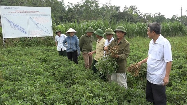 Năm 2018 cả nước đã bố trí trên 130 tỷ đồng cho hoạt động đào tạo cán bộ HTX nông nghiệp (Ảnh Internet)