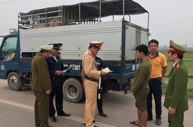 Phát hiện nhiều vụ việc kinh doanh, vận chuyển, giết mổ lợn mắc bệnh, không rõ nguồn gốc (Ảnh: Internet)