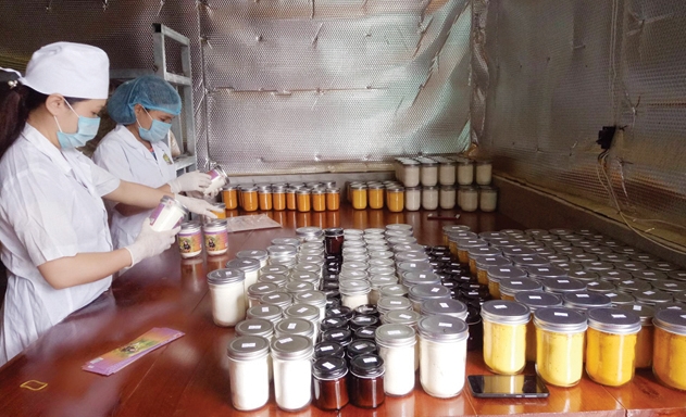 Dây chuyền đóng gói sản phẩm tinh bột nghệ của HTX