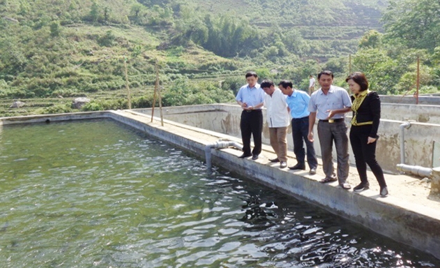 Khu nuôi cá tầm của HTX Phong Thổ