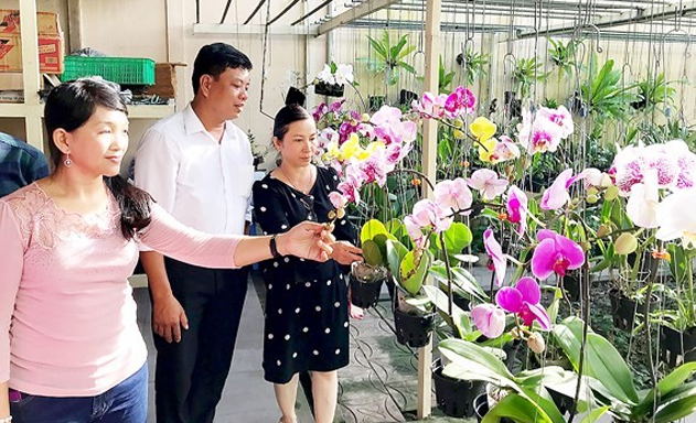 Sản phẩm thân thiện với môi trường mà HTX làm ra đang là xu hướng được ưa chuộng