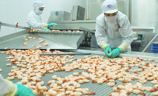 Người tiêu dùng trong nước đòi hỏi sản phẩm có tiêu chuẩn chất lượng như xuất khẩu