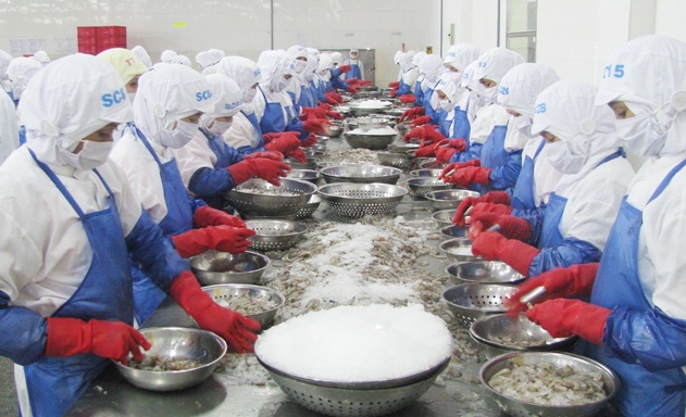 Vì sao thuế giảm nhưng nông thủy sản Việt vẫn khó xuất ngoại?