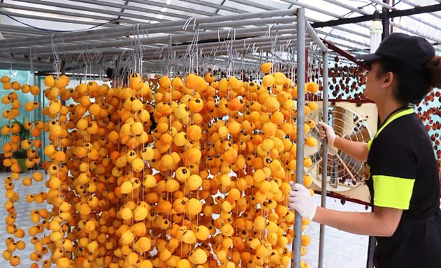 Sản phẩm hồng treo sấy gió của HTX