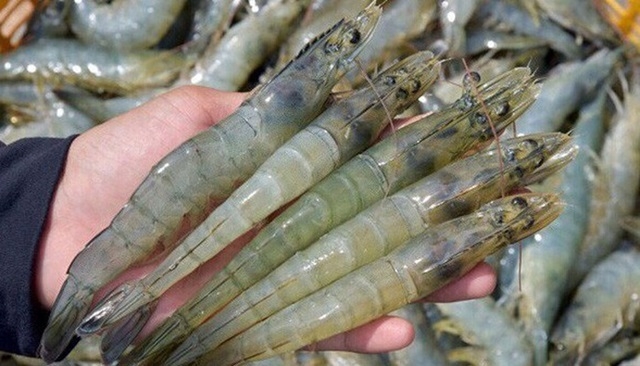 Xuất khẩu tôm giảm, giá chưa hồi phục (Ảnh Internet)