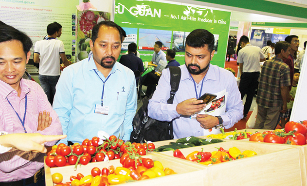 Trái cây xuất khẩu cần những tay lái quốc tế