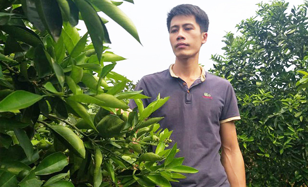 Đoàn Thanh Vỹ đã bỏ lương chục triệu để khởi nghiệp bằng trang trại trồng cây ăn quả