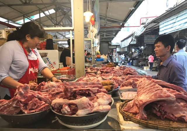 Tại Hà Nội, đến thời điểm này, sức tiêu thụ thịt lợn tại các chợ đã được cải thiện, giá thịt lợn hơi cũng tăng trở lại (Ảnh Internet)
