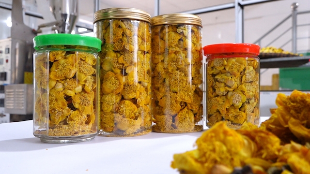 Trà đã sấy khô và được đóng vào lọ thành phẩm