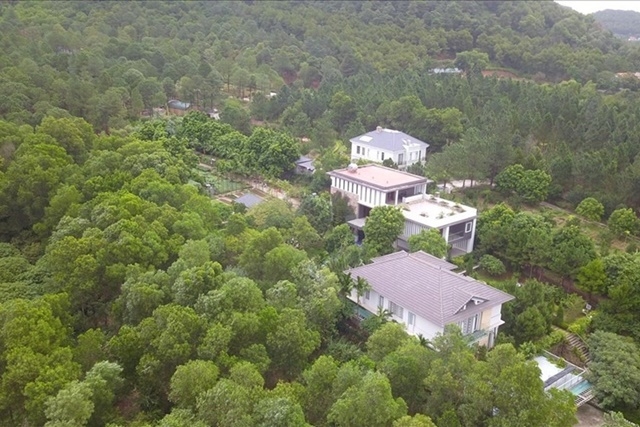 Xử lý, khắc phục sau thanh tra việc quản lý, sử dụng đất rừng trên địa bàn Sóc Sơn (Ảnh Internet)