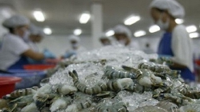 Mỹ công bố thuế chống bán phá giá tôm Việt Nam còn 0% (Ảnh Internet)