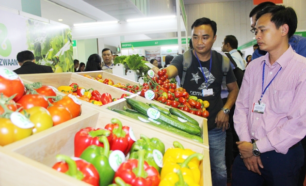 Nguồn vốn được rót đúng sẽ nâng giá trị nông sản Việt