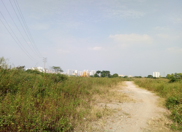 Khu đô thị Thịnh Liệt bỏ hoang hơn 10 năm nay trở thành bãi đất trống cỏ mọc um tùm