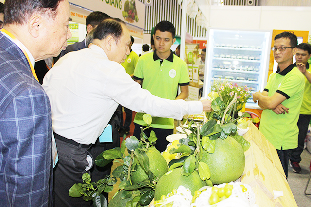 Xuất chính ngạch với các nhà nhập khẩu Trung Quốc là đều nên làm
