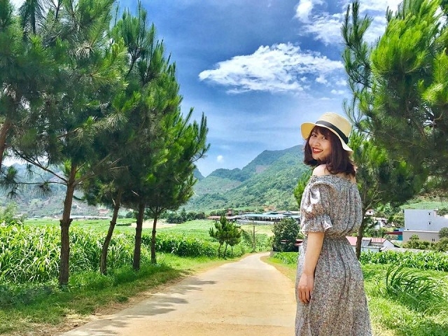 Mộc Châu bạt ngàn màu xanh - tưới mát tâm hồn, tái tạo năng lượng (Ảnh sưu tầm)