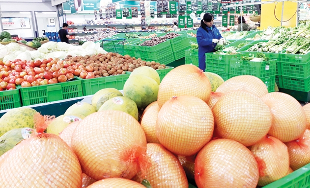 Để vào được các siêu thị ở Tp.HCM, rau củ quả phải đạt chuẩn