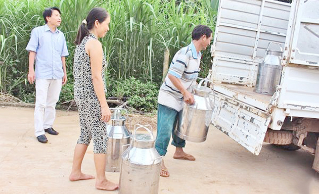 100% sản phẩm của HTX được doanh nghiệp bao tiêu