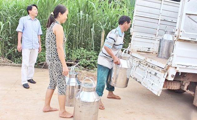 100% sản phẩm của HTX được doanh nghiệp bao tiêu