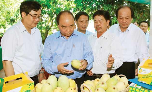 Thủ tướng Nguyễn Xuân Phúc thăm HTX Xoài Mỹ Xương