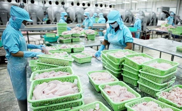 Đoàn của EC sẽ sang kiểm tra các khuyến nghị chống khai thác IUU vào cuối tháng 5/2019, hải sản Việt sẽ được gỡ thẻ vàng?