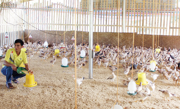 Giám đốc Phan Văn Tuân: Khó khăn lớn nhất hiện nay là HTX thiếu đất để mở rộng sản xuất