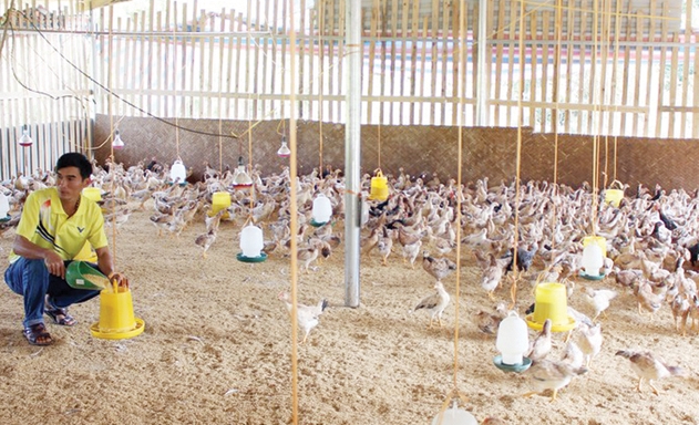 Giám đốc Phan Văn Tuân: Khó khăn lớn nhất hiện nay là HTX thiếu đất để mở rộng sản xuất