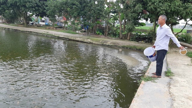 Với cách nuôi cá áp dụng KHKT như hiện nay cho năng suất gấp 10 lần cách nuôi truyền thống