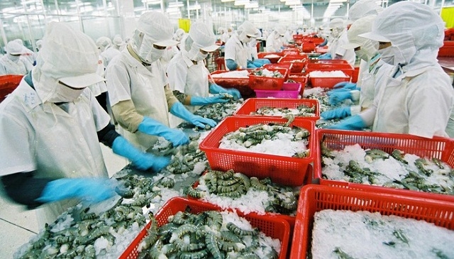 Xuất khẩu tôm quý I giảm 16,9% so với cùng kỳ năm 2018 (Ảnh Internet)