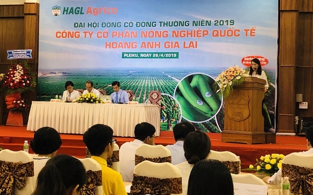 ĐHĐCĐ thường niên của HAGL Agrico