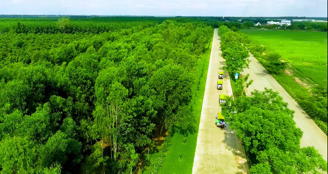 Đường vào “resort” xanh mướt với cây xanh và đồng cỏ mênh mông