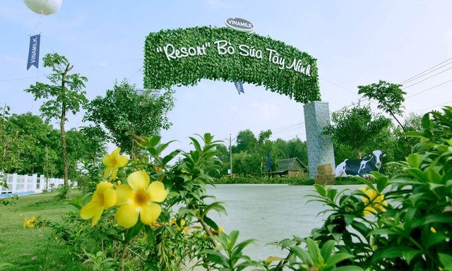 Resort” bò sữa này là thành viên trong hệ thống chuẩn Global GAP lớn nhất châu Á về số lượng trang trại của Vinamilk