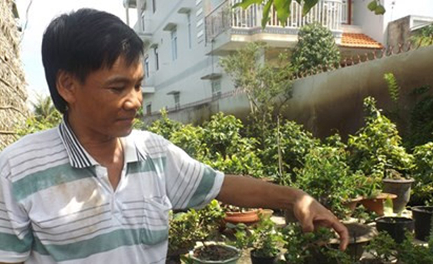 Vườn cây cảnh của anh Hồ Hoàng Tâm