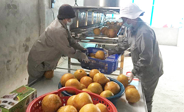 HTX đang đẩy mạnh công nghệ để giảm công lao động