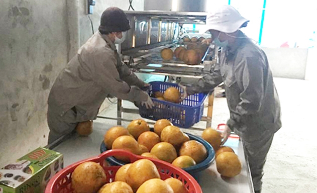 HTX đang đẩy mạnh công nghệ để giảm công lao động