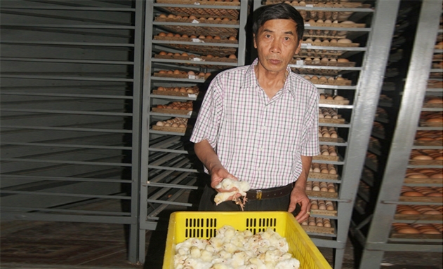 Giám đốc HTX Chăn nuôi gia cầm Cường Thịnh Ngô Văn Chiến