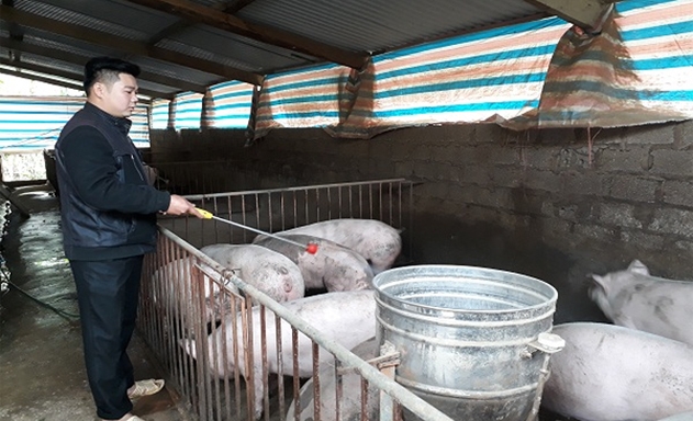 HTX Toàn Phát đã khẳng định hướng đi đúng của những thanh niên có chí làm giàu