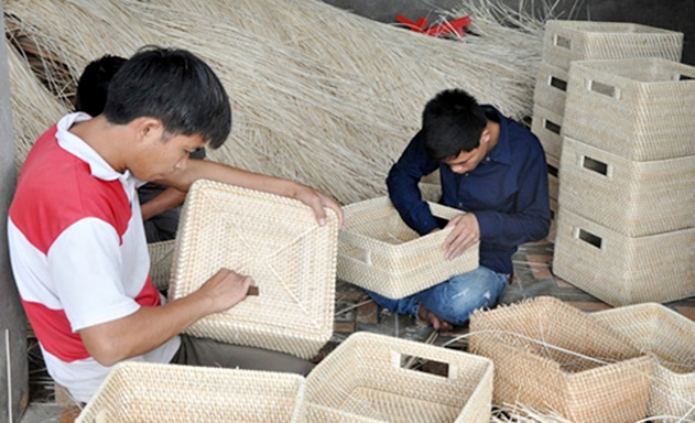 Sản phẩm của HTX đang chinh phục thị trường trong và ngoài nước nhờ chất lượng vượt trội