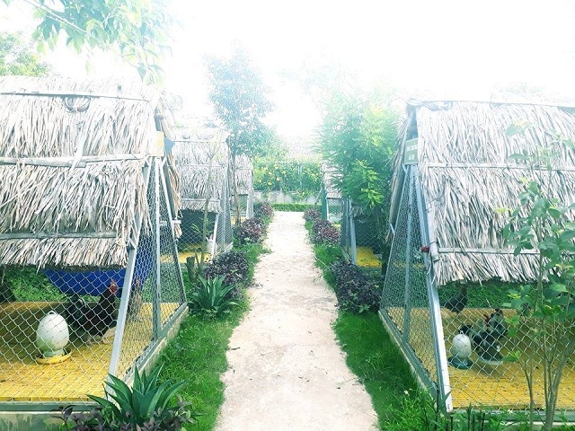 Nông trại FLC Eco Farm