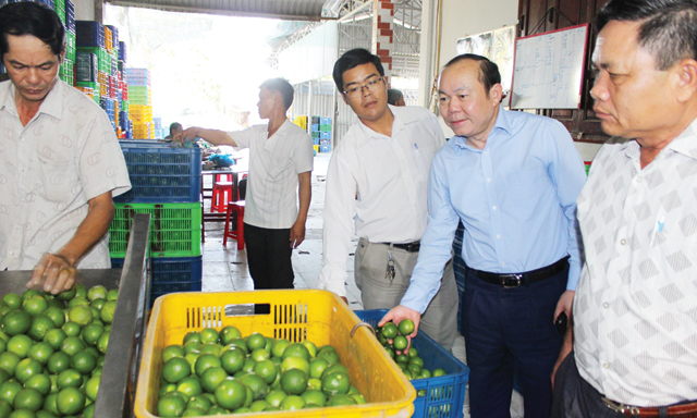 Chủ tịch Liên minh HTX Việt Nam Nguyễn Ngọc Bảo khảo sát tại HTX Thạnh Phước